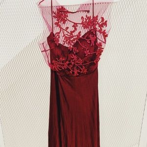 Catherine Deane Silk Tule Dress